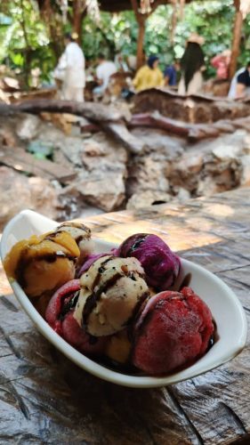 البوظة-الاستوائية-3