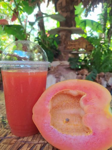 العصائر-الاستوائية-10