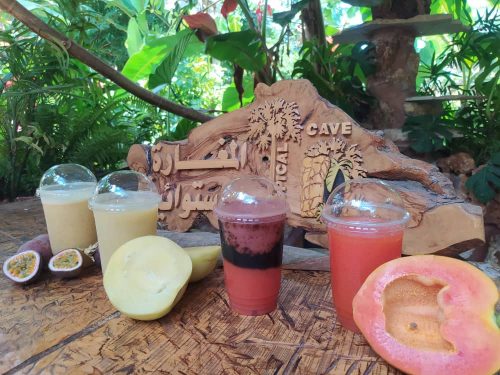 العصائر-الاستوائية-11 (1)