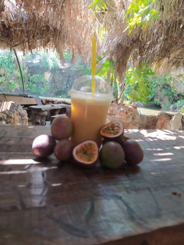 العصائر-الاستوائية-12