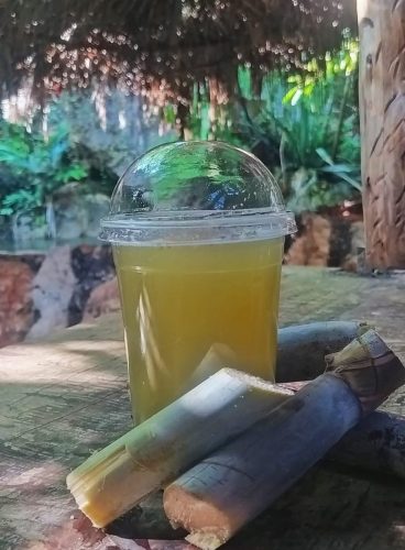 العصائر-الاستوائية-13