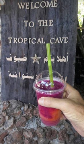 العصائر-الاستوائية-14