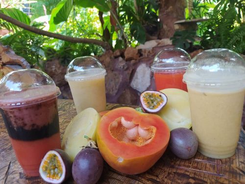 العصائر-الاستوائية-16