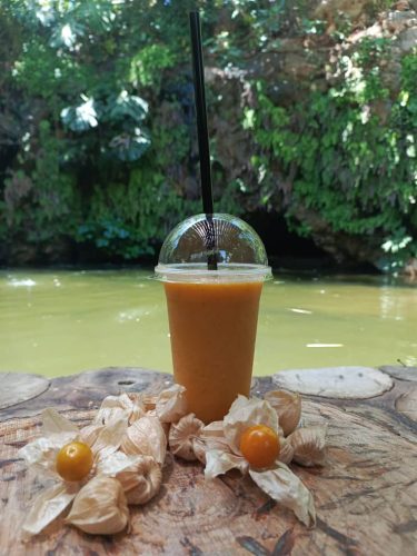 العصائر-الاستوائية-19