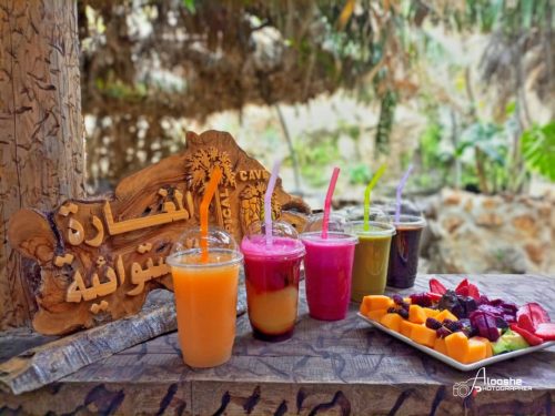 العصائر-الاستوائية-4