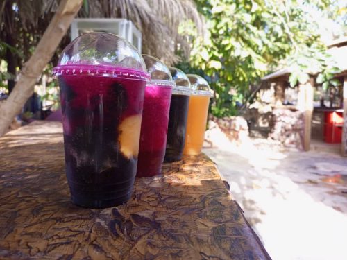 العصائر-الاستوائية-6