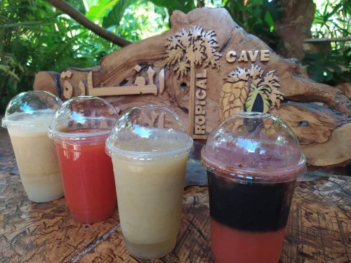 العصائر-الاستوائية-9