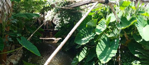 المنتزه-12 (1)