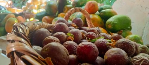 مبيعات-الغابة-الاستوائية-2