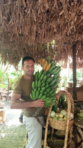 مبيعات-الغابة-الاستوائية-3