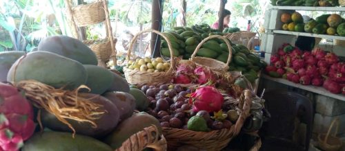 مبيعات-الغابة-الاستوائية-4