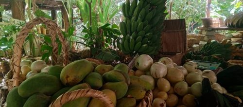 مبيعات-الغابة-الاستوائية-7