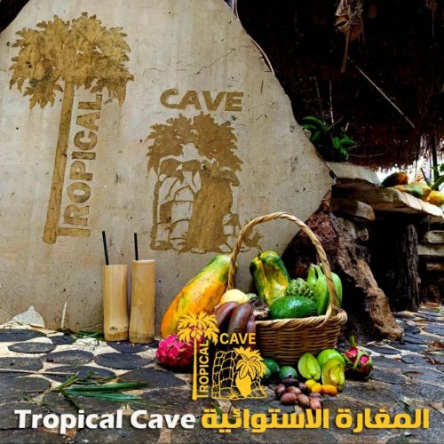 مبيعات-الغابة-الاستوائية-9