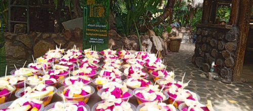 وجبات-الفاكهة-2 (1)