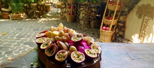 وجبات-الفاكهة-4